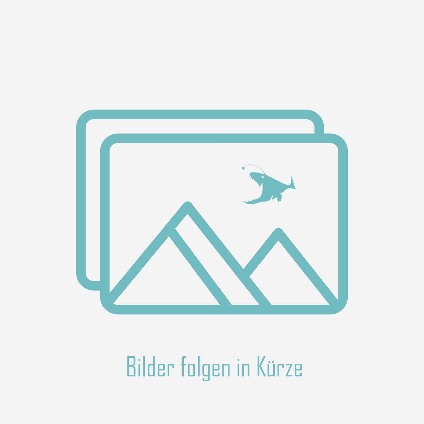 Streuscheibe Scheinwerferglas Audi Q7/SQ7 4M + Facelift 2015-2024