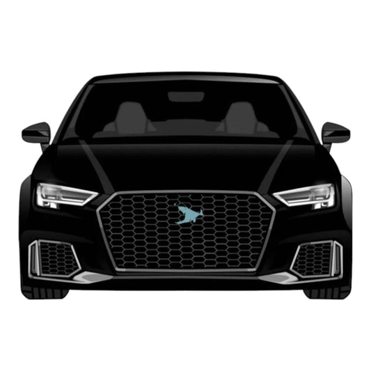 Audi A3/S3/RS3 8V + Facelift 2013-2020