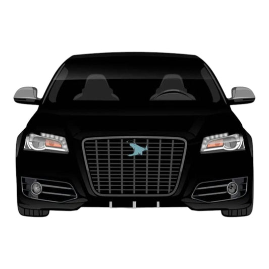 Audi A3/S3/RS3 8P + Facelift 2004-2012