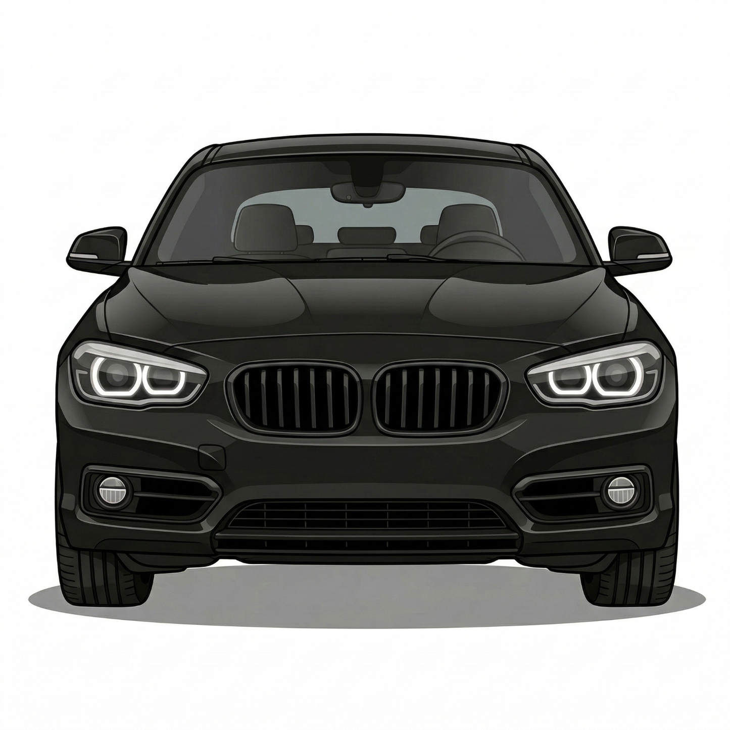 BMW 1 Series F20 / F21 2011-2015