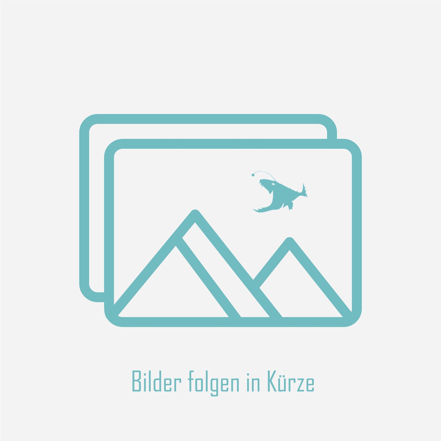 Bilder folgen