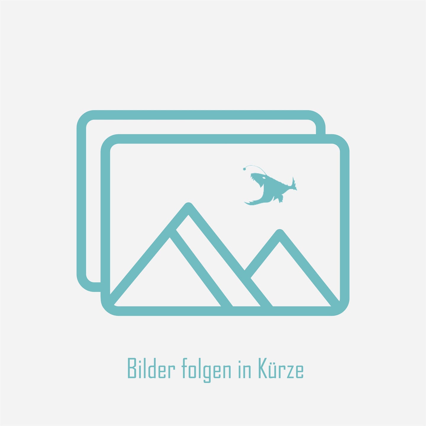 Bilder folgen